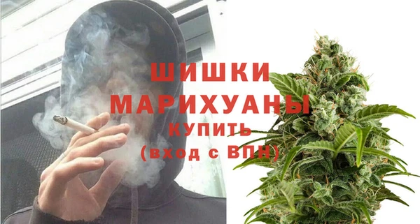 сатива Абаза