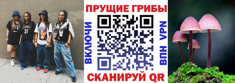 Псилоцибиновые грибы мухоморы  наркотики  mega маркетплейс  Электроугли 